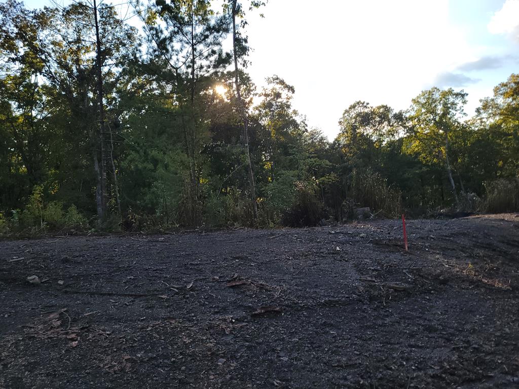 TRACT 4 Old Northcutt Road