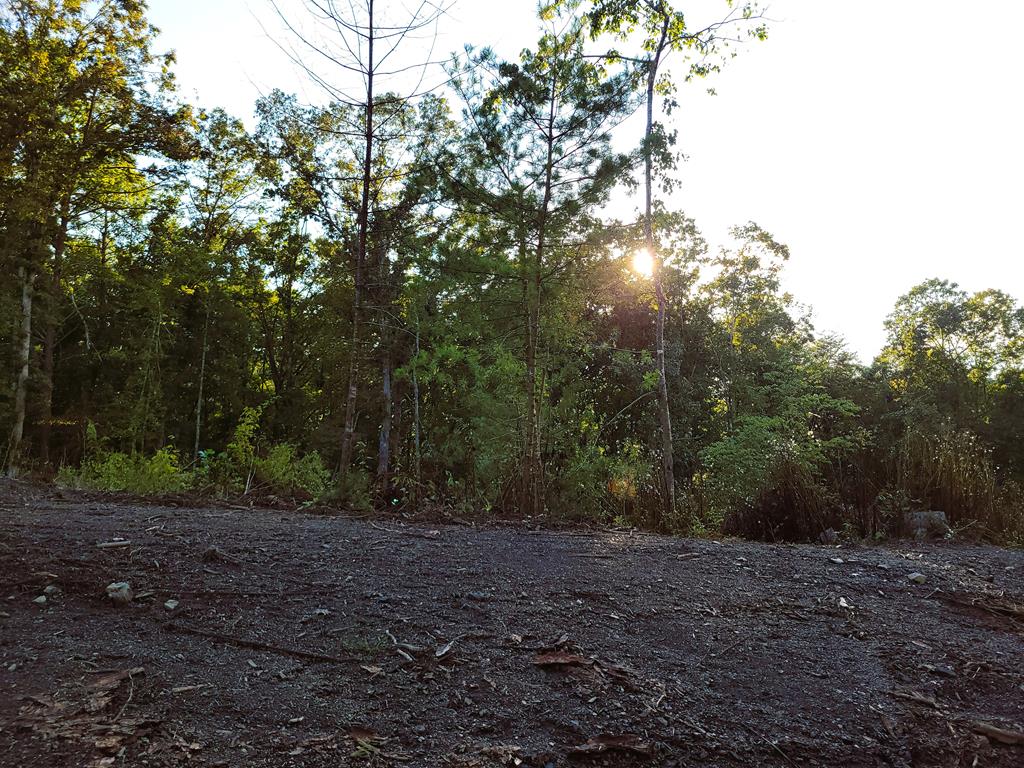 TRACT 4 Old Northcutt Road