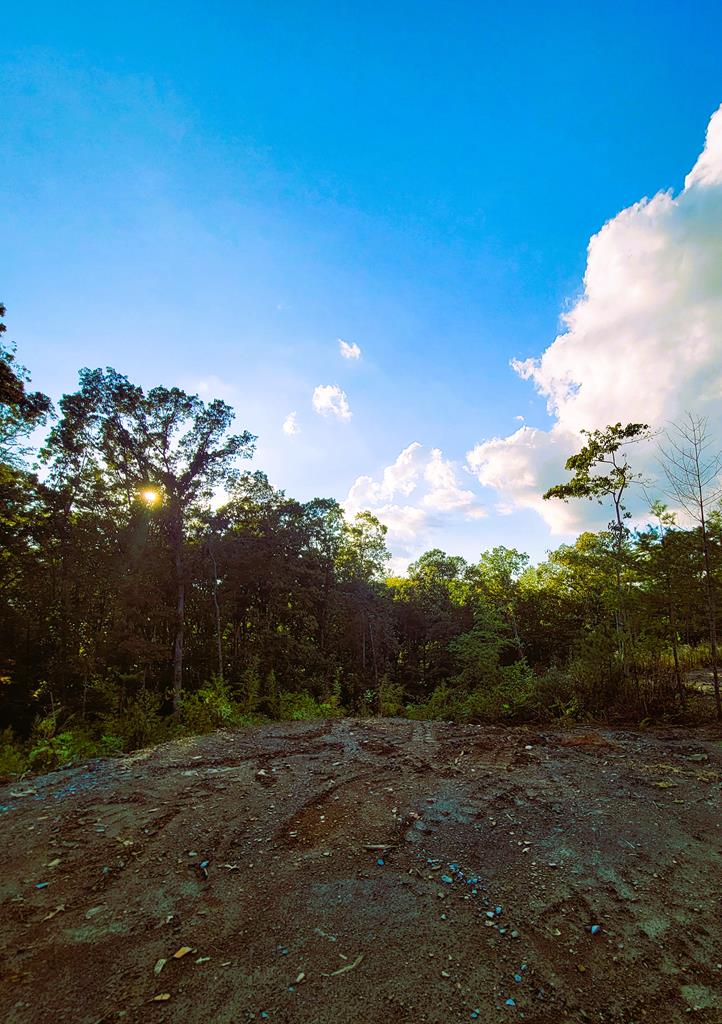 TRACT 4 Old Northcutt Road