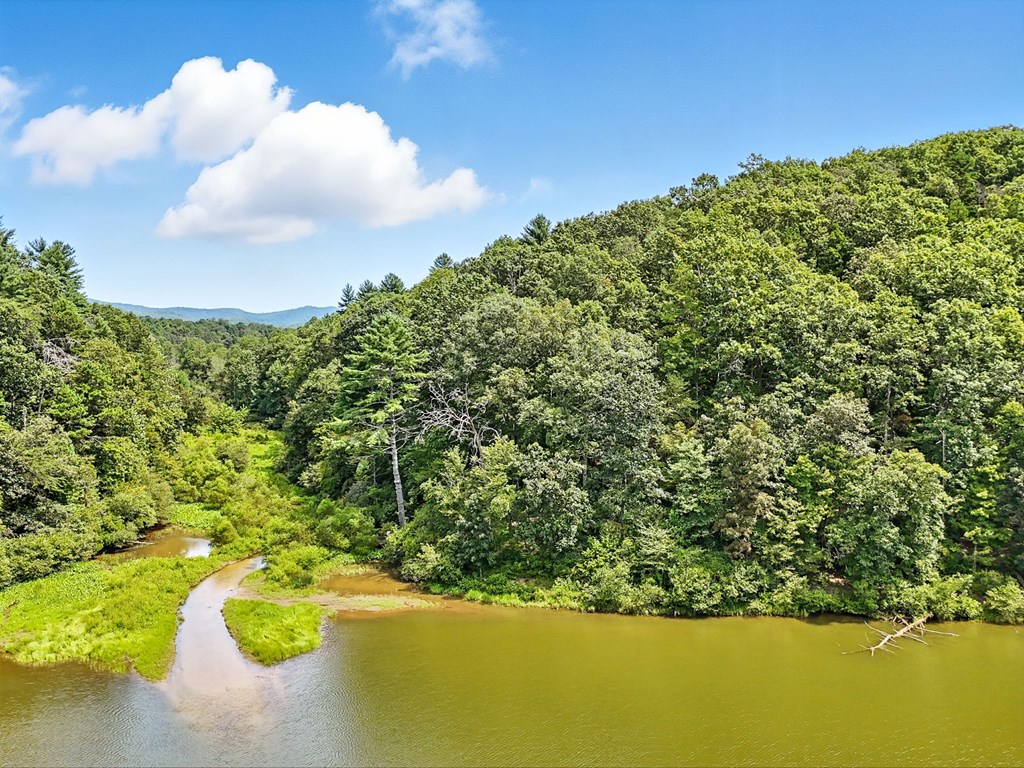 384 Mountain Laurel Drive