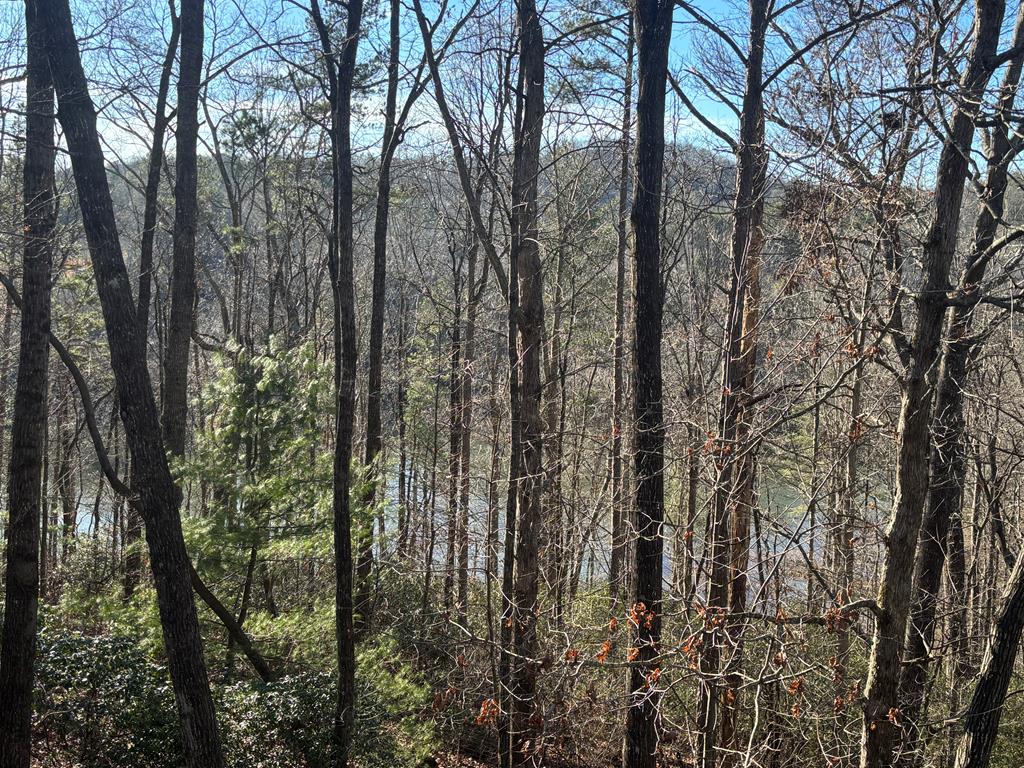 384 Mountain Laurel Drive