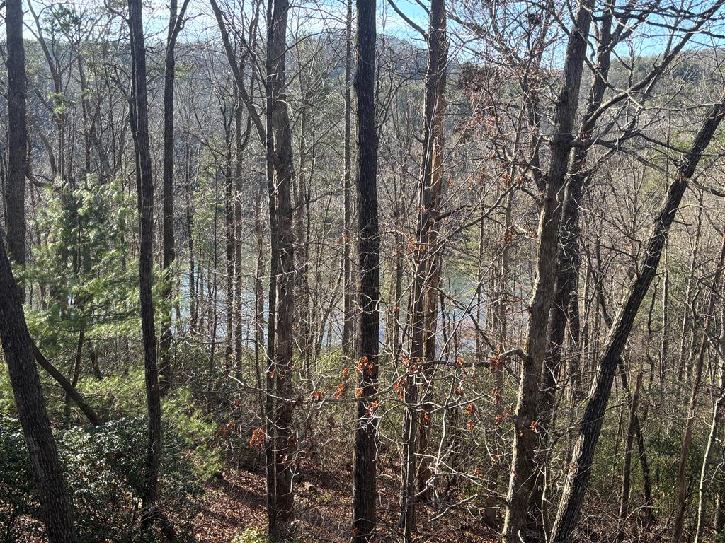 384 Mountain Laurel Drive