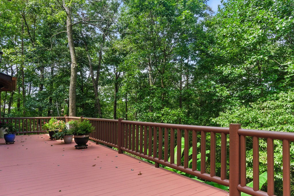 384 Mountain Laurel Drive