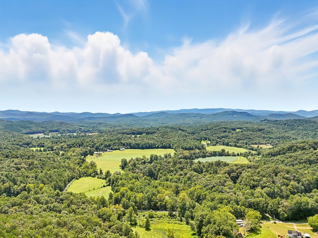 384 Mountain Laurel Drive