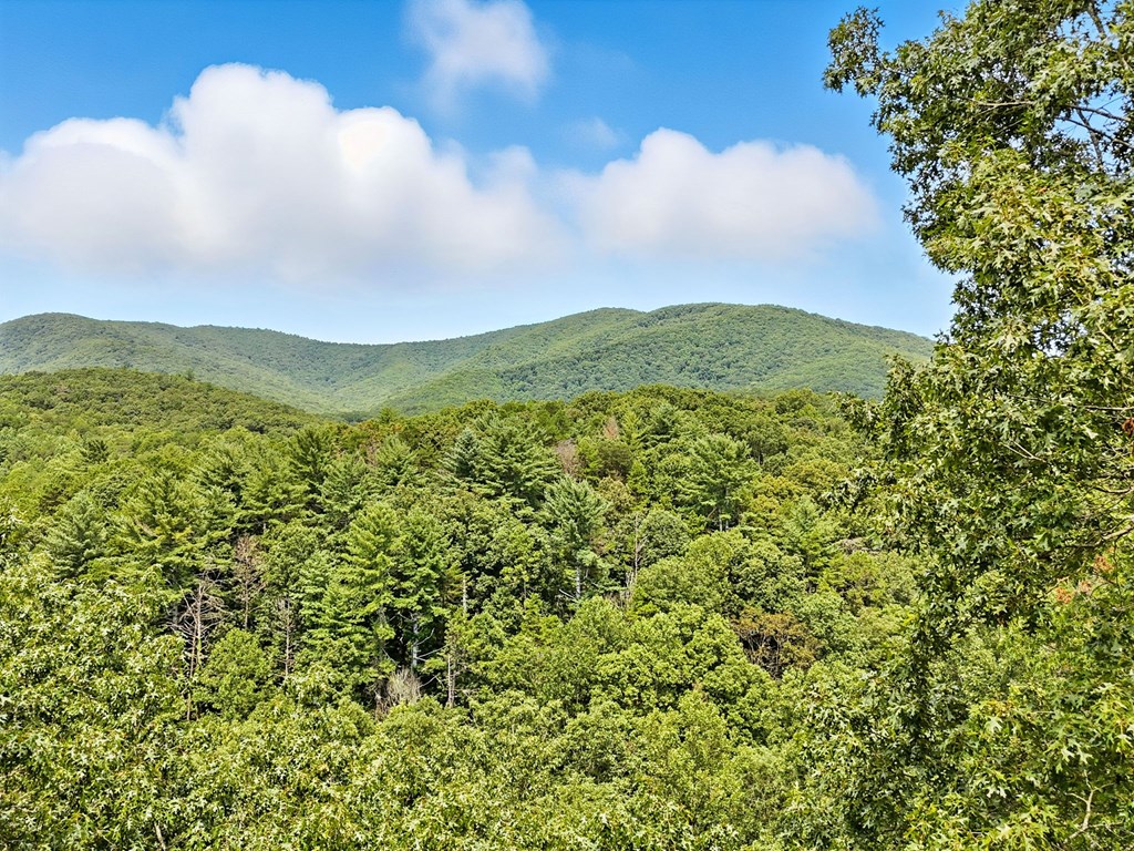 384 Mountain Laurel Drive