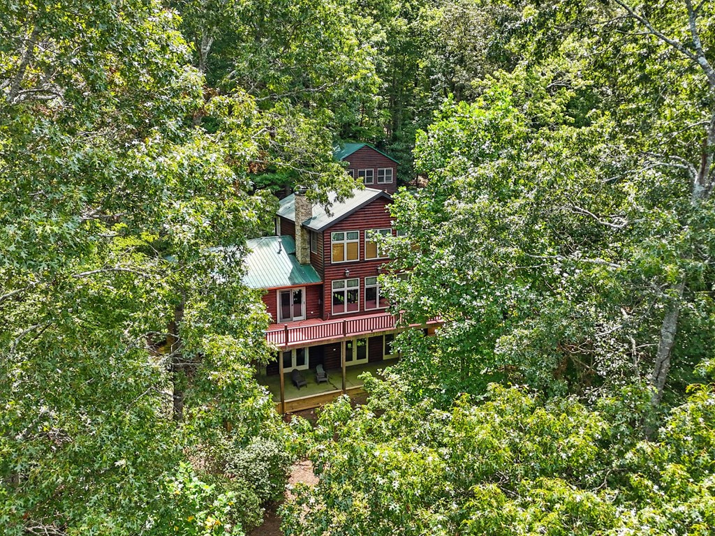 384 Mountain Laurel Drive