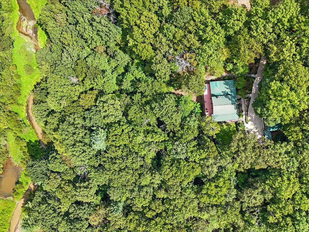 384 Mountain Laurel Drive