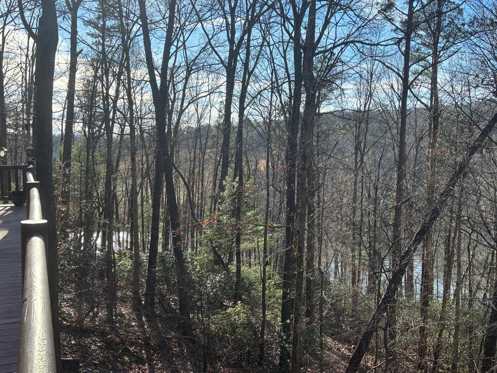 384 Mountain Laurel Drive