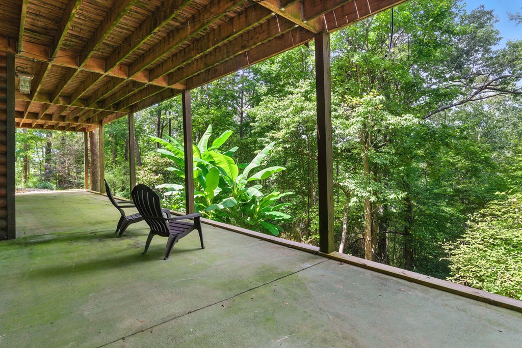 384 Mountain Laurel Drive