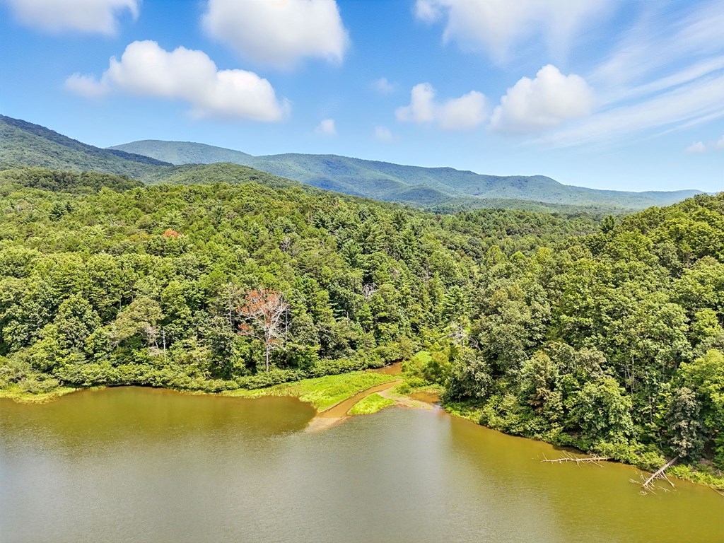 384 Mountain Laurel Drive