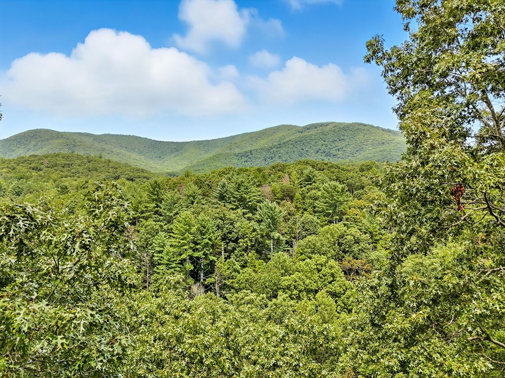 384 Mountain Laurel Drive