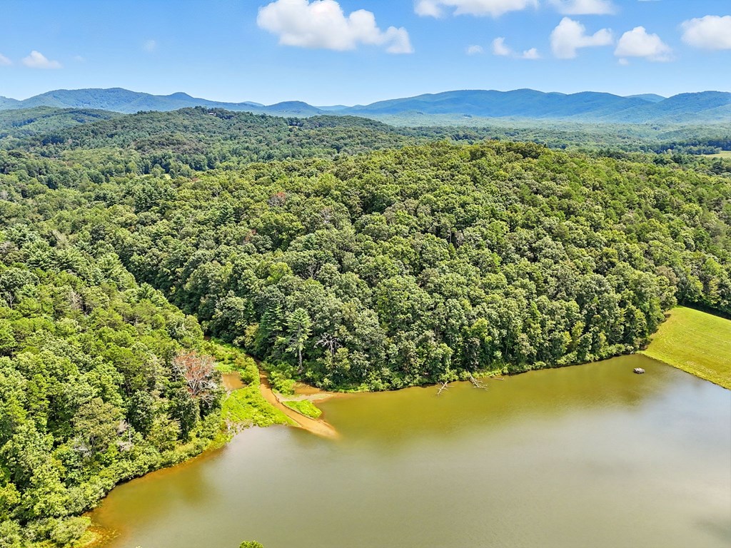 384 Mountain Laurel Drive