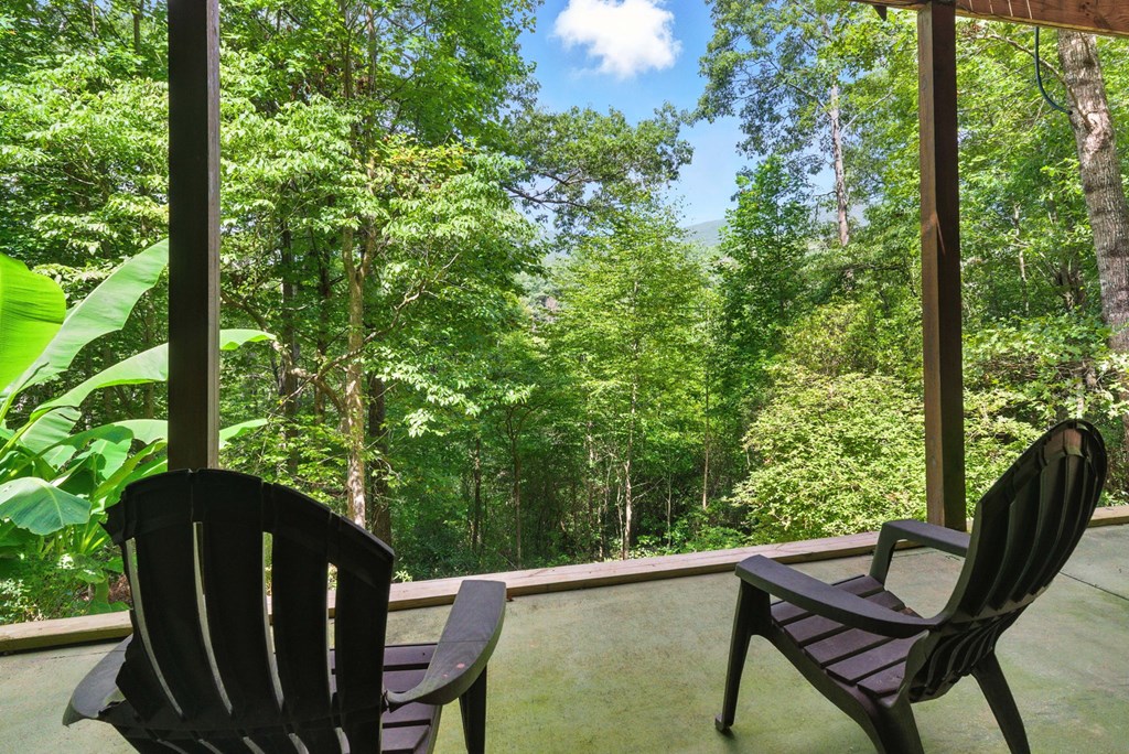 384 Mountain Laurel Drive