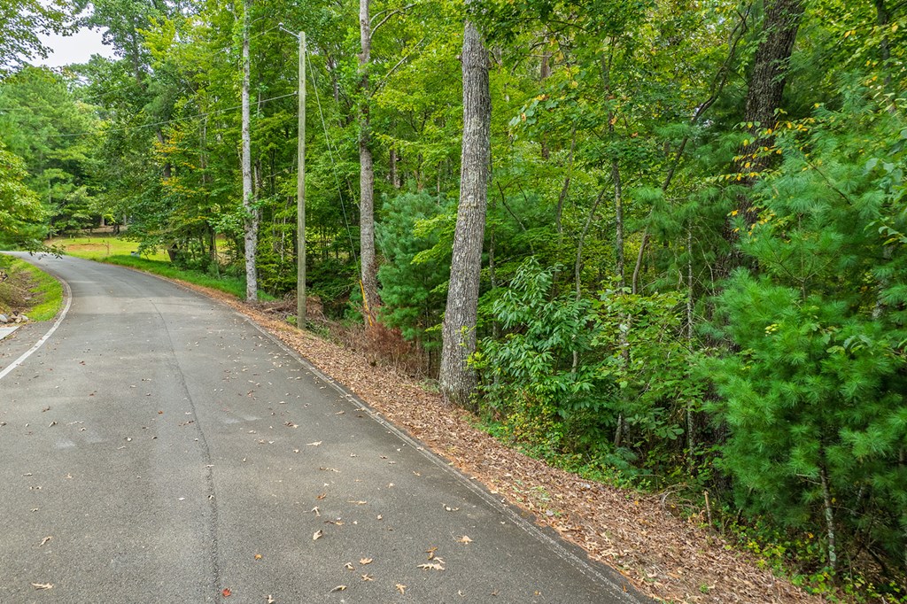 2.5 AC Mango Lane
