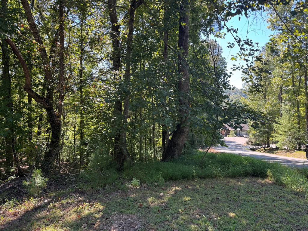 2.5 AC Mango Lane