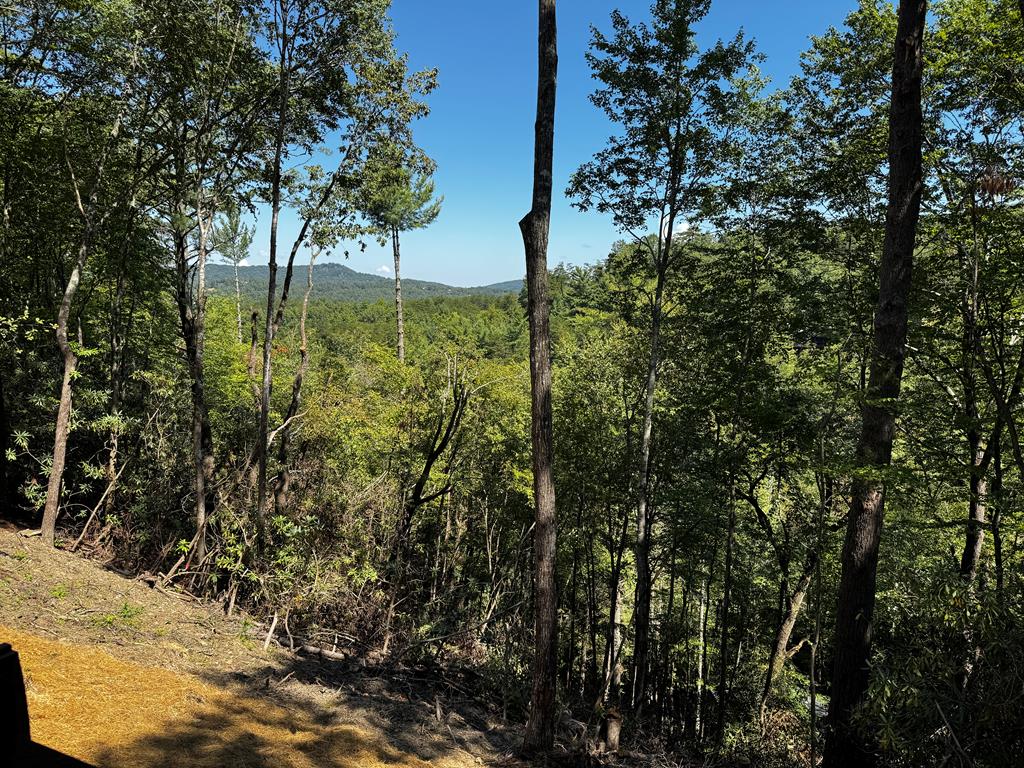 241 Laurel Creek Trail