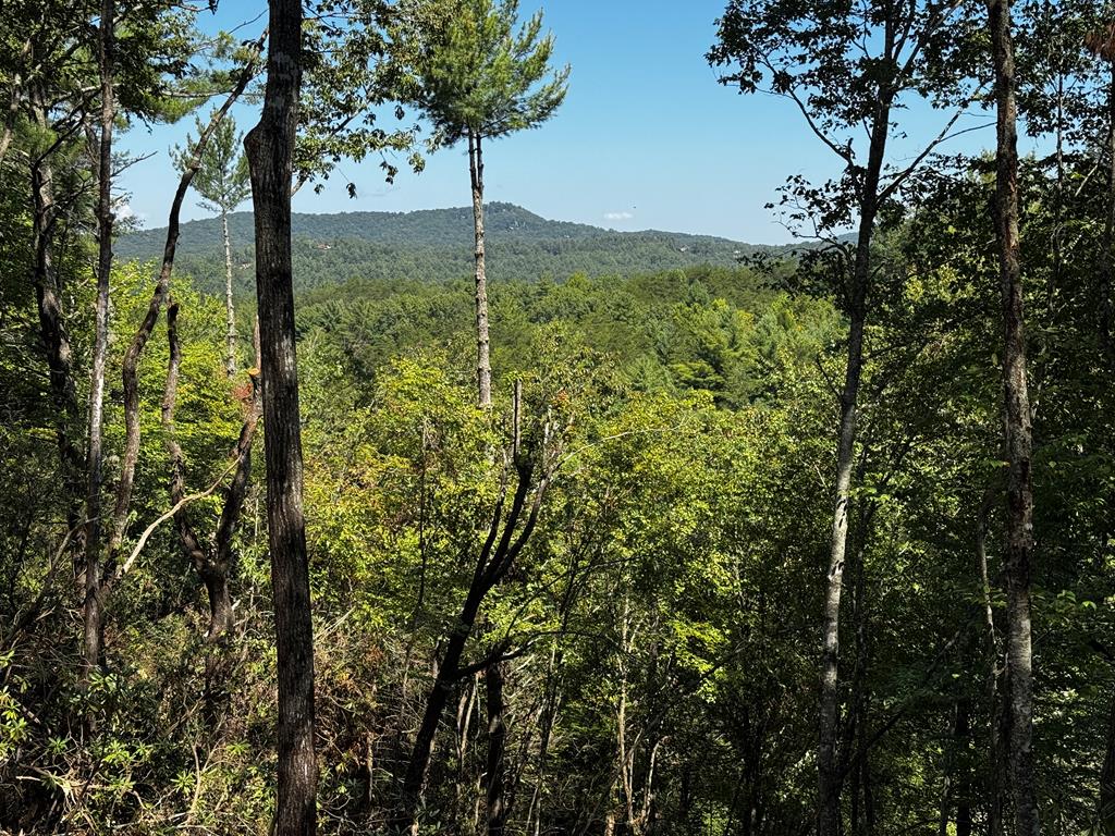 241 Laurel Creek Trail