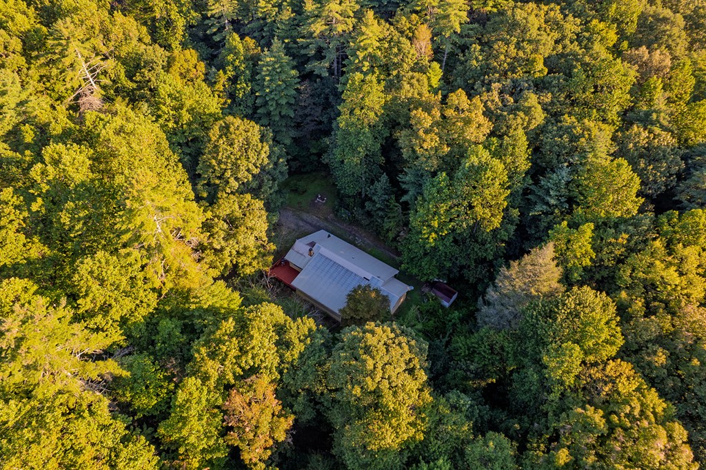 10950 Chatsworth Hwy/52w