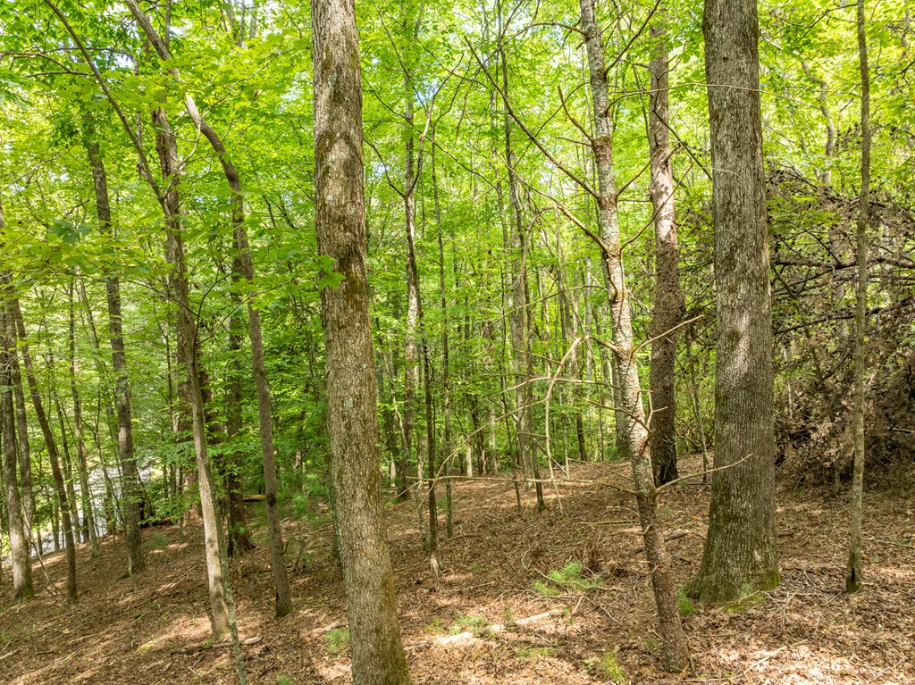 Lot 272 Seneca Drive