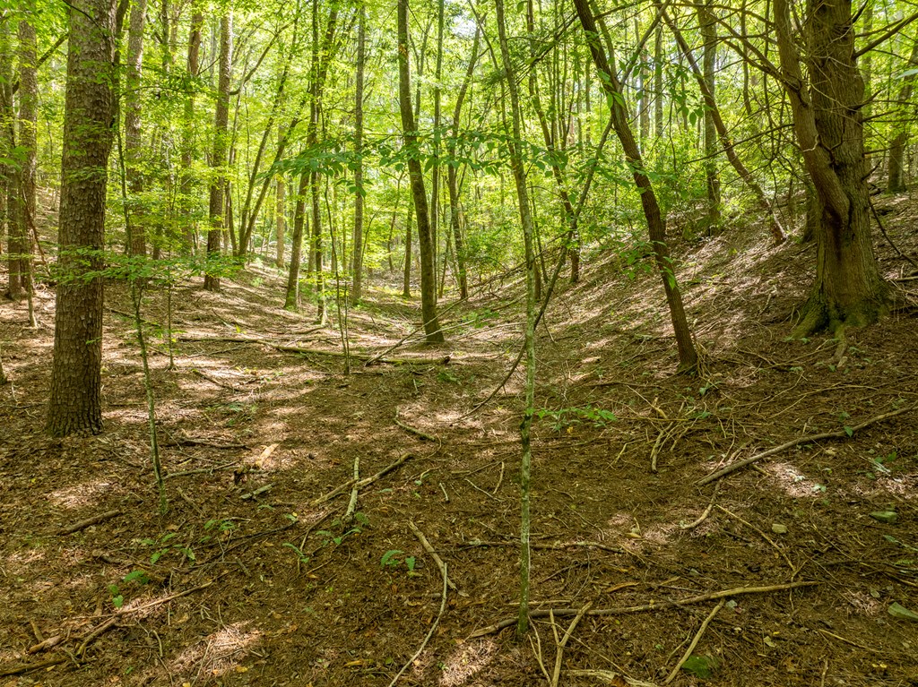 Lot 272 Seneca Drive