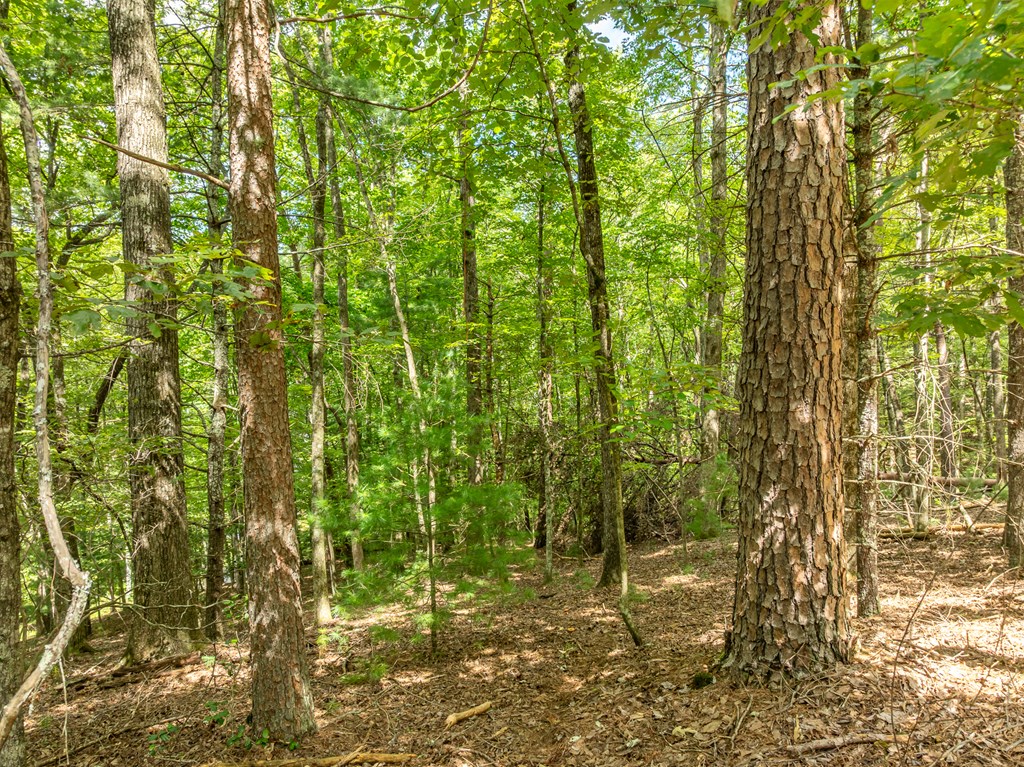 Lot 272 Seneca Drive