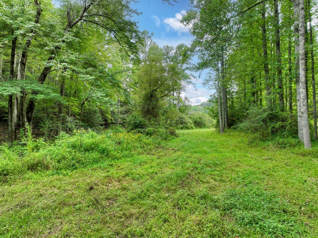 34.56 Ac Weaver Creek Road