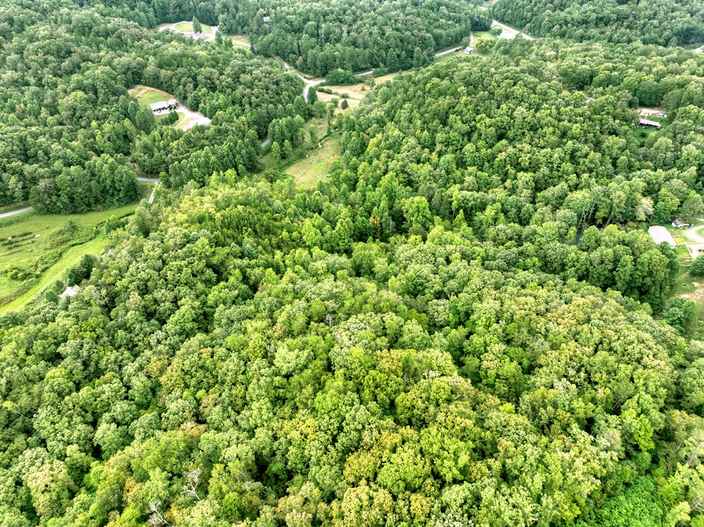 34.56 Ac Weaver Creek Road