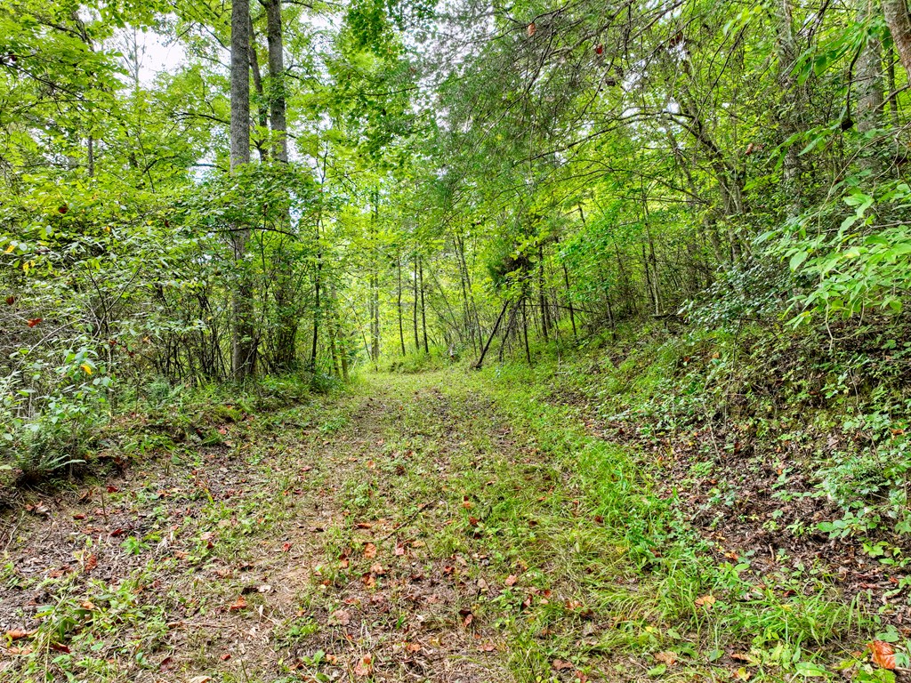 34.56 Ac Weaver Creek Road