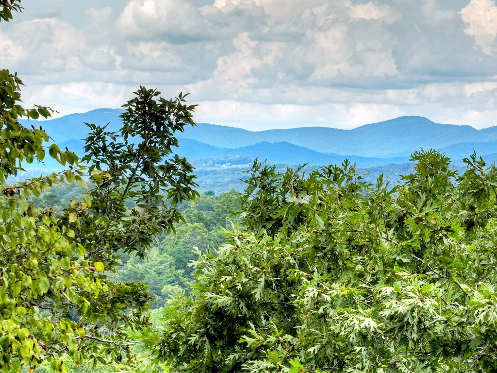 34.56 Ac Weaver Creek Road