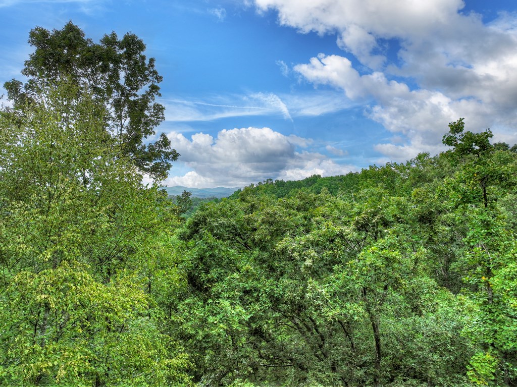 34.56 Ac Weaver Creek Road