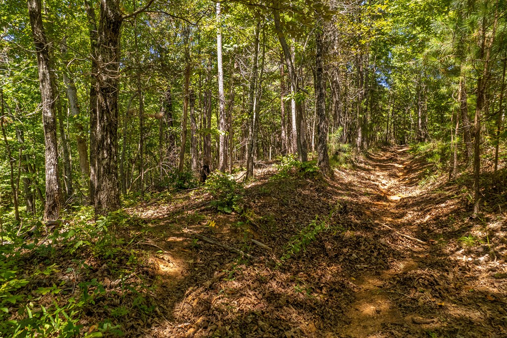 Lot 1 Harris Branch Road E