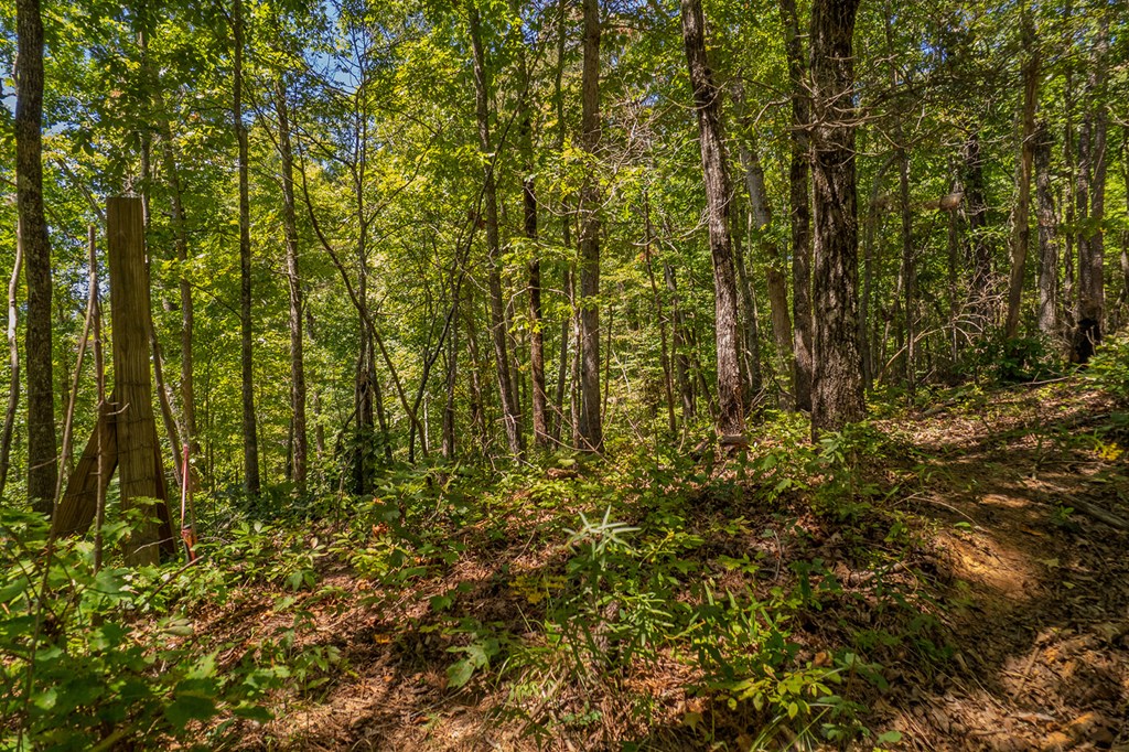 Lot 19 Harris Branch Road E