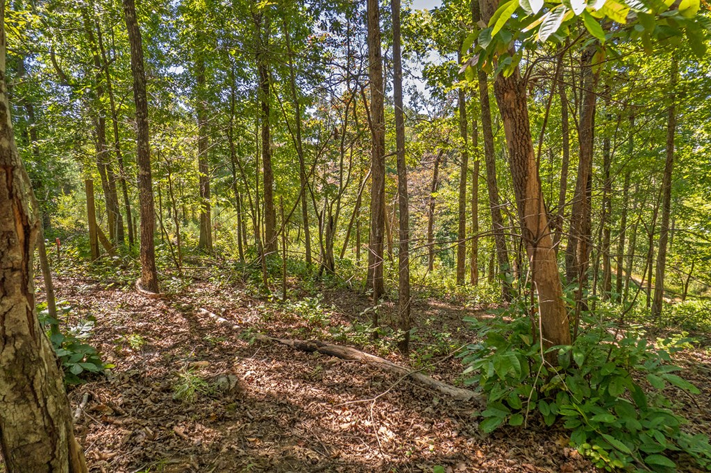 Lot 19 Harris Branch Road E