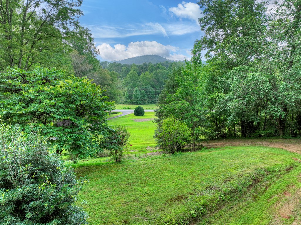 1362 Cherry Log Street