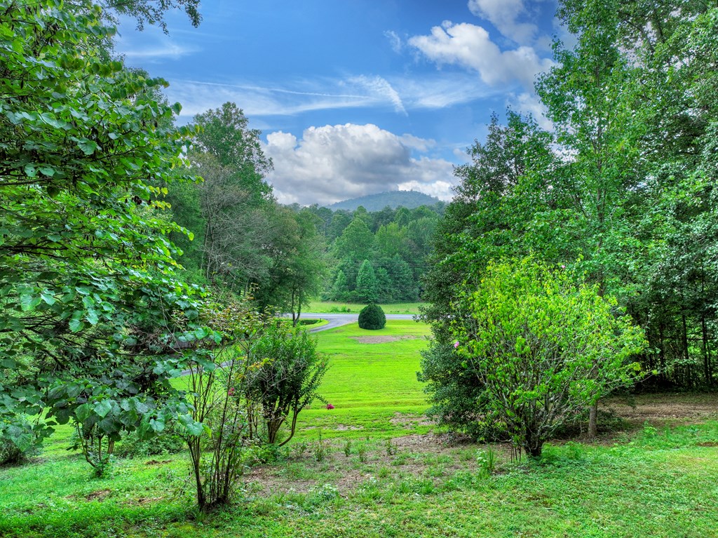 1362 Cherry Log Street