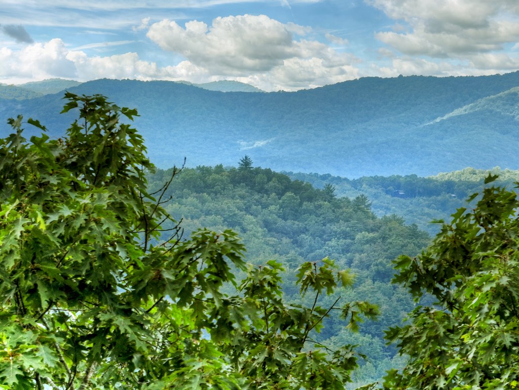 1362 Cherry Log Street