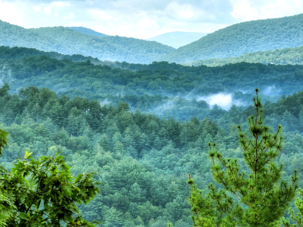 1362 Cherry Log Street