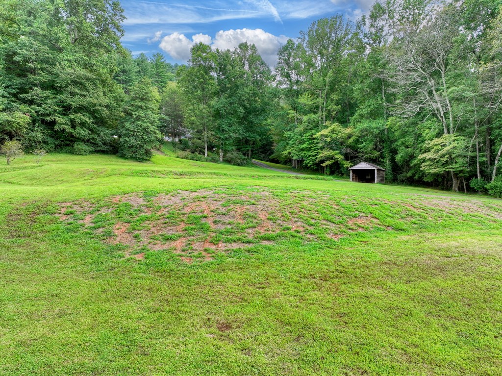 1362 Cherry Log Street