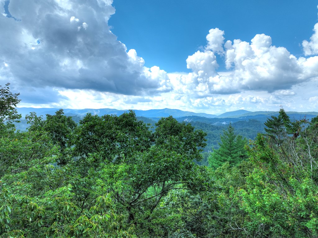 1362 Cherry Log Street