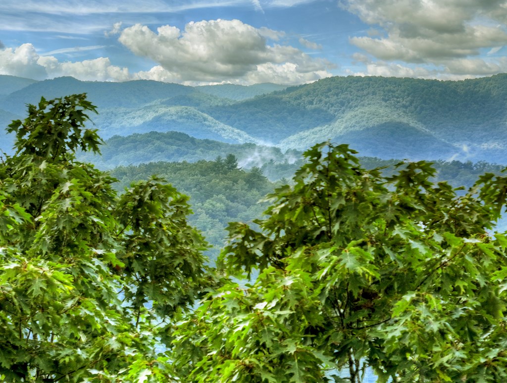 1362 Cherry Log Street