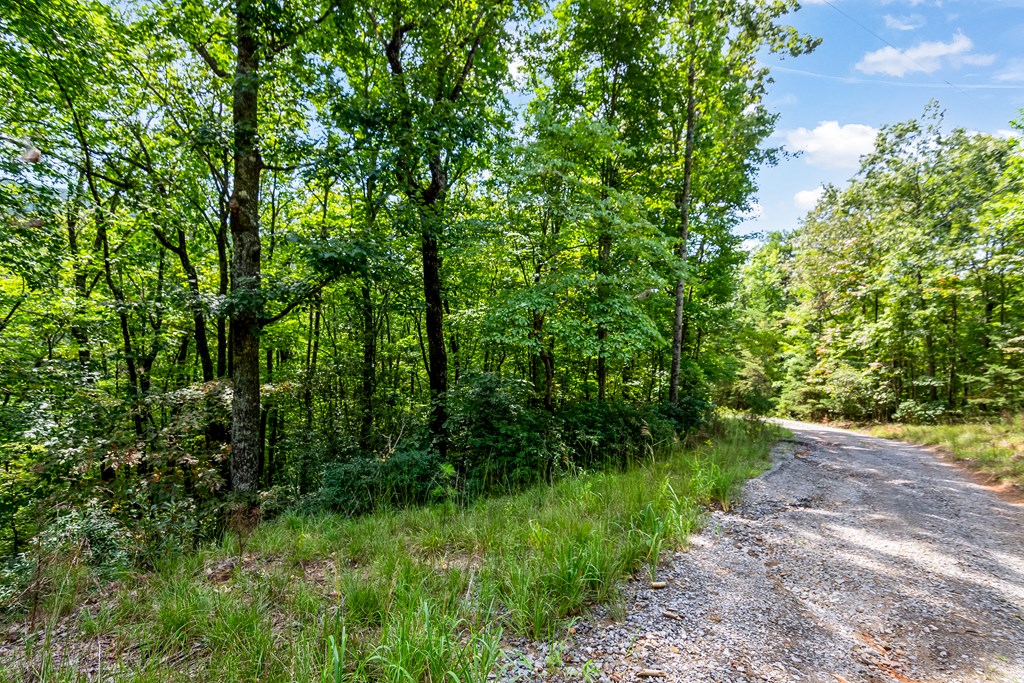 4.69 AC Rockwater Road