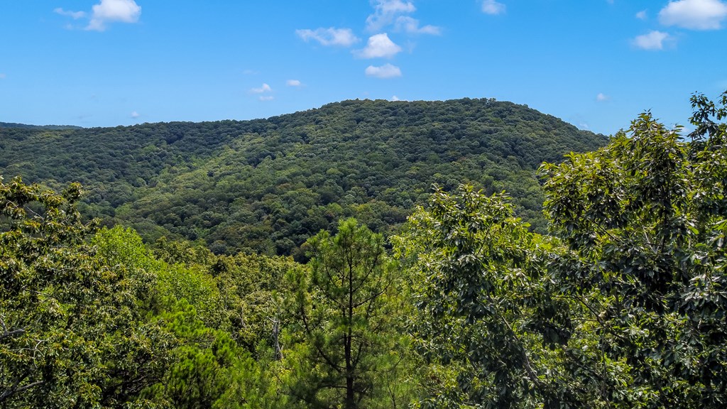 4.69 AC Rockwater Road