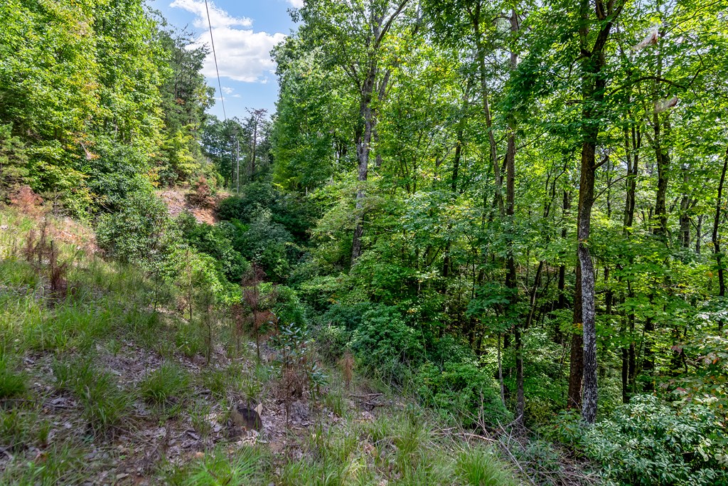 4.69 AC Rockwater Road