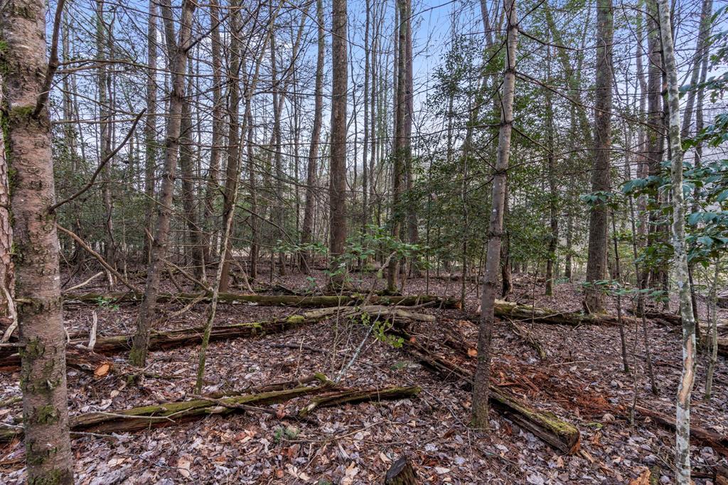 3.2 AC Stanley Creek Road