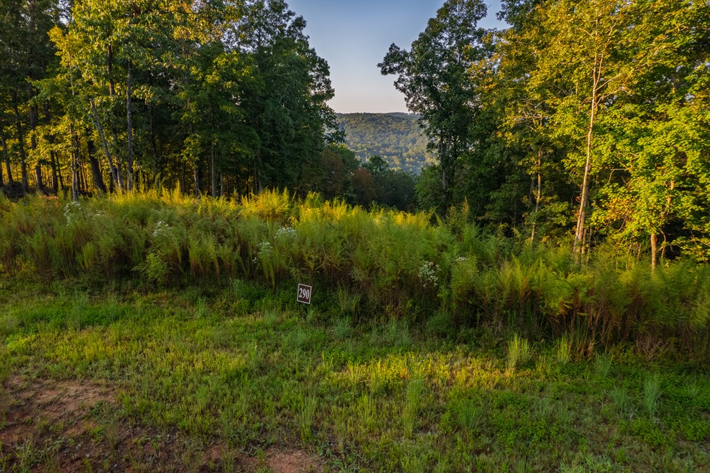 Lot 290 Anglers Ridge Road