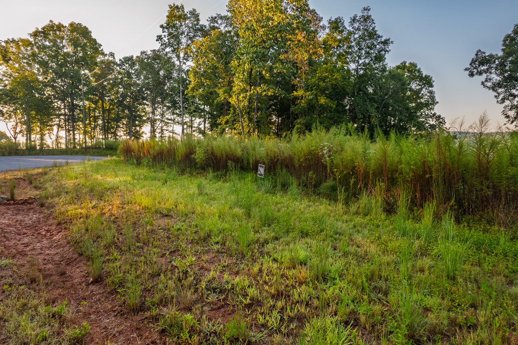 Lot 290 Anglers Ridge Road