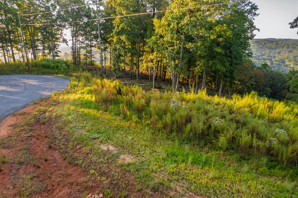 Lot 290 Anglers Ridge Road