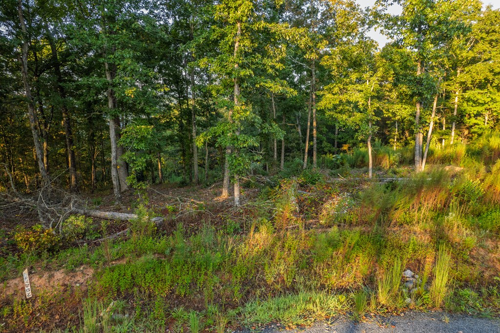 Lot 290 Anglers Ridge Road