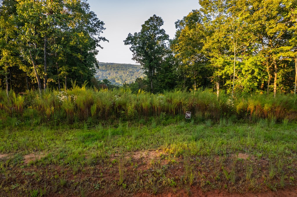 Lot 290 Anglers Ridge Road