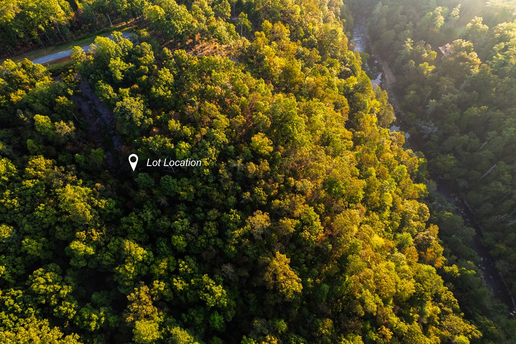 Lot 290 Anglers Ridge Road